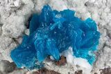 Vibrant Blue Cavansite Cluster on Stilbite - India #306055-1